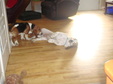 Enlarge photo 81