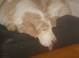 Enlarge photo 82