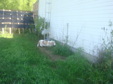 Enlarge photo 89