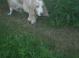 Enlarge photo 91