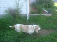 Enlarge photo 92