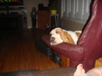 Enlarge photo 94