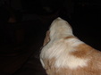 Enlarge photo 95