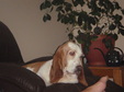 Enlarge photo 96