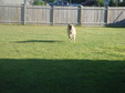 Enlarge photo 99