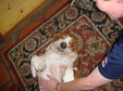 Enlarge photo 10