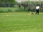 Enlarge photo 11