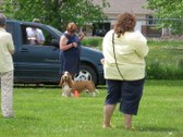 Enlarge photo 24