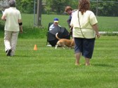 Enlarge photo 25