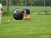 Enlarge photo 27