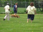 Enlarge photo 29