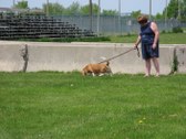 Enlarge photo 33
