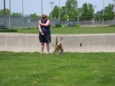 Enlarge photo 34