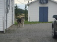Enlarge photo 33