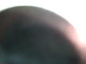Enlarge photo 43