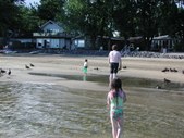 Enlarge photo 99