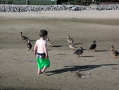 Enlarge photo 104