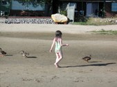 Enlarge photo 105