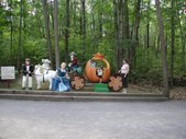Enlarge photo 108
