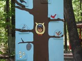 Enlarge photo 115