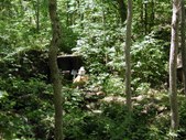 Enlarge photo 117