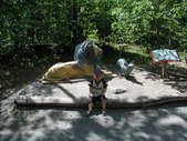 Enlarge photo 118