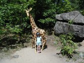 Enlarge photo 124