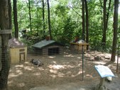 Enlarge photo 128