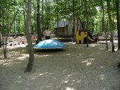 Enlarge photo 129