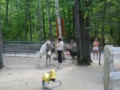 Enlarge photo 130