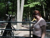 Enlarge photo 133