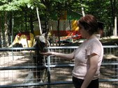 Enlarge photo 134
