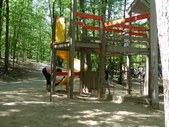 Enlarge photo 135