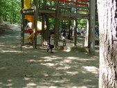 Enlarge photo 136