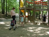 Enlarge photo 137