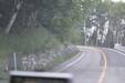 Enlarge photo 55