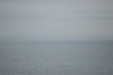 Enlarge photo 75