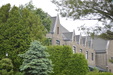 Enlarge photo 77