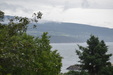Enlarge photo 80
