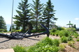 Enlarge photo 106