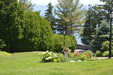 Enlarge photo 109