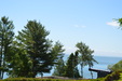 Enlarge photo 112