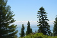 Enlarge photo 115