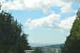 Enlarge photo 131