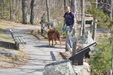 Enlarge photo 21