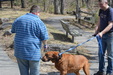 Enlarge photo 23