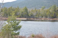Enlarge photo 37