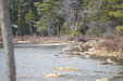 Enlarge photo 39