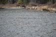 Enlarge photo 41