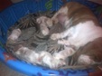 Enlarge photo 8